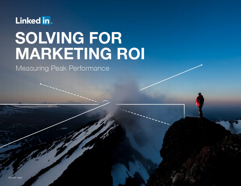 Solving for Marketing ROI