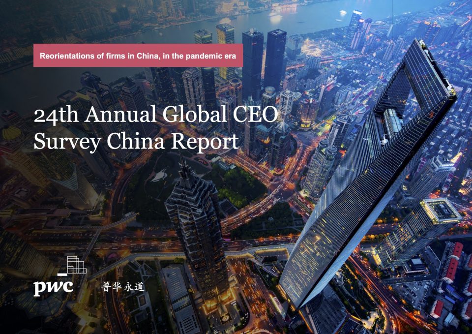 24th Annual Global CEO Survey China Report