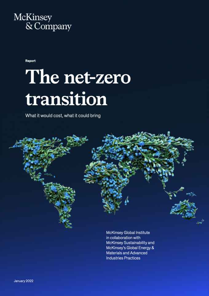 The net-zero transition