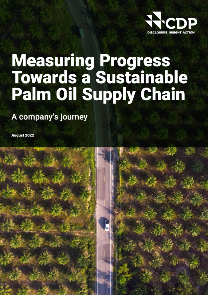 Measuring Progress Towards a Sustainable Palm Oil Supply Chain